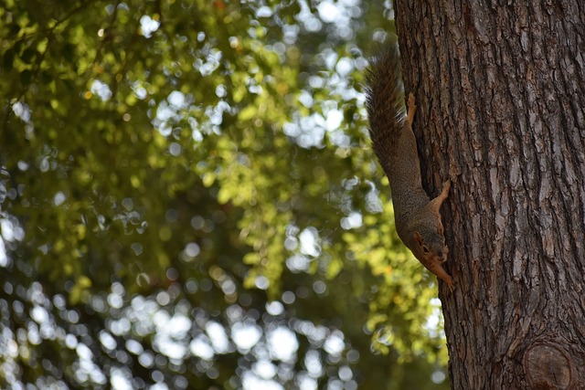 择在此时提 择在此时提