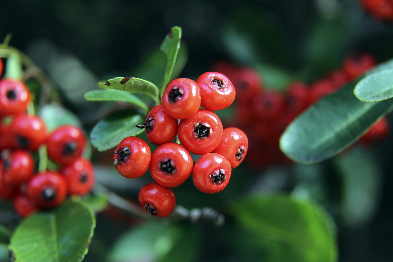 国家统计局 国家统计局