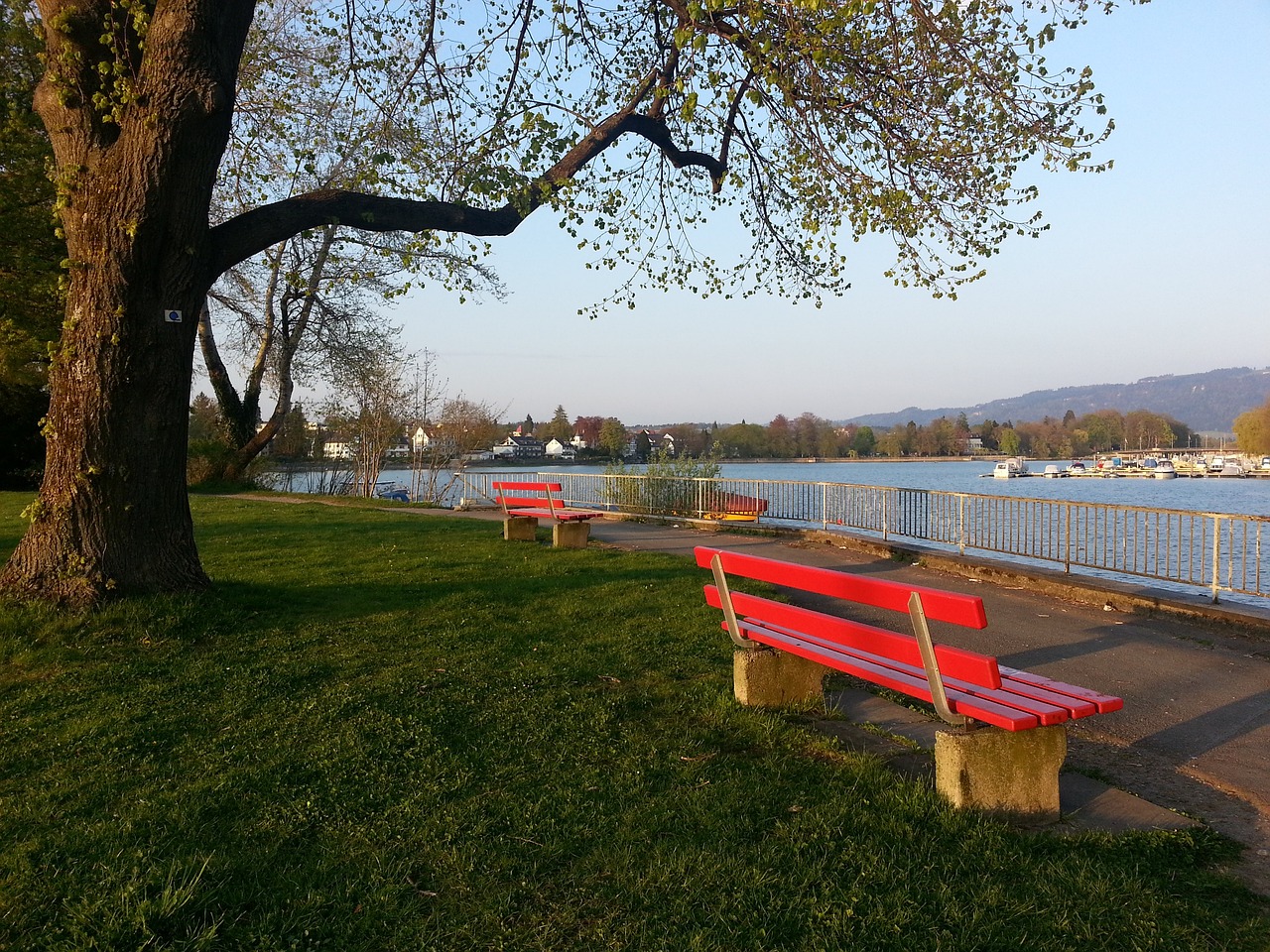 中相互理解 中相互理解