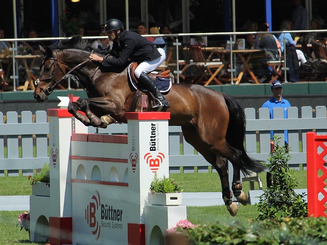 正是他们的 正是他们的